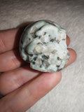 35g Natural Amazonite Quartz Skull Carving Mint Green Crystal Figurine
