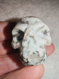 35g Natural Amazonite Quartz Skull Carving Mint Green Crystal Figurine