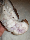 700g Natural Agate Quartz Crystal Wing Carving Raw Geode Specimen