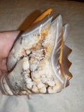 700g Natural Agate Quartz Crystal Wing Carving Raw Geode Specimen