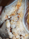 700g Natural Agate Quartz Crystal Wing Carving Raw Geode Specimen