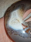 135g Agate Moon Carving Howling Wolf Druzy Pocket Crystal with Stand
