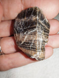 18g Raw Black Moonstone Specimen Rough Banded Feldspar Crystal Chunk