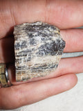 18g Raw Black Moonstone Specimen Rough Banded Feldspar Crystal Chunk