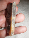 14g Raw Black Moonstone Slab Shard Peach Feldspar Rough Crystal Specimen