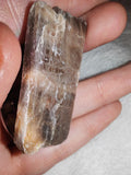 14g Raw Black Moonstone Slab Shard Peach Feldspar Rough Crystal Specimen