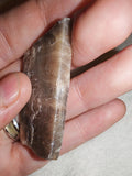 14g Raw Black Moonstone Slab Shard Peach Feldspar Rough Crystal Specimen