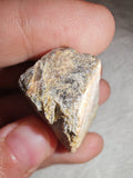 15g Raw Golden Moonstone Specimen Peach Feldspar Rough Crystal Chunk