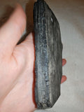 139g Large Black Kyanite Fan Slab Specimen Raw Dark Crystal Blade Plate #1