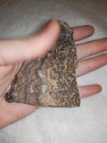 74g Crazy Lace Agate Slab Patterned Mexican Agate Slice Crystal Specimen #2