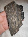 73g Black Kyanite Fan Slab Specimen Raw Dark Crystal Blade Plate #3