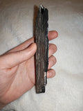 73g Black Kyanite Fan Slab Specimen Raw Dark Crystal Blade Plate #3