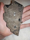 73g Black Kyanite Fan Slab Specimen Raw Dark Crystal Blade Plate #3