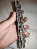 73g Black Kyanite Fan Slab Specimen Raw Dark Crystal Blade Plate #3