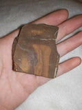 50g Australian Boulder Opal Matrix Slab Raw Precious Opal Vein Ironstone