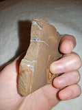 50g Australian Boulder Opal Matrix Slab Raw Precious Opal Vein Ironstone