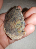 16g Dendritic Opal Slab Slice Raw Dendritic Common Opal Lapidary Specimen