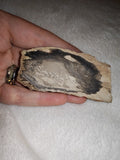 48g Petrified Wood Slab Thick Polished Fossil Wood Branch Slice Specimen