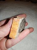 48g Petrified Wood Slab Thick Polished Fossil Wood Branch Slice Specimen