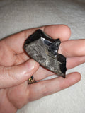 Natural Raw Jet Specimen with Matrix (10g) – High-Luster Jet Mineral Rough