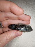 Natural Raw Jet Specimen with Matrix (10g) – High-Luster Jet Mineral Rough