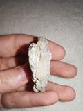 17g Natural Chalcedony Rose Agate Slice Concentric Botryoidal Specimen