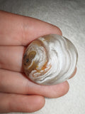9g Banded Agate Cabochon Oval Polished Stone with Red Resin Underside