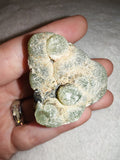 70g Natural Prehnite with Epidote Specimen Botryoidal Green Mineral Cluster