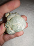 70g Natural Prehnite with Epidote Specimen Botryoidal Green Mineral Cluster