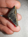 2g Rare Iridescent Covellite Crystal Fragment Metallic Blue Gold Flash Specimen