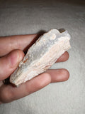 55g Natural Rough White Precious Opal Specimen Raw Crystal Flash Matrix Chunk
