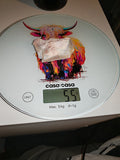 55g Natural Rough White Precious Opal Specimen Raw Crystal Flash Matrix Chunk