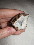 29g Natural Quartz Geode Crystal Cavity Specimen Sparkling Druzy Matrix Specimen