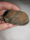 45g Natural Petrified Wood Slice Fossilised Tree Section Specimen Display Rock