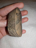 45g Natural Petrified Wood Slice Fossilised Tree Section Specimen Display Rock