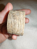 45g Natural Petrified Wood Slice Fossilised Tree Section Specimen Display Rock