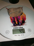 45g Natural Petrified Wood Slice Fossilised Tree Section Specimen Display Rock