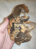 Large Honey Calcite Crystal Cluster 660g Raw Golden Calcite Specimen