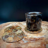 Natural Ammonite Fossil Coaster | Genuine Fossil in Resin | Madagascar