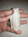 56g Natural Satin Spar Selenite Rough Piece White Gypsum Mineral Specimen