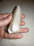 56g Natural Satin Spar Selenite Rough Piece White Gypsum Mineral Specimen