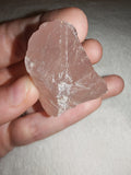 49g Natural Raw Rose Quartz Specimen Rough Pink Crystal Chunk Healing Stone