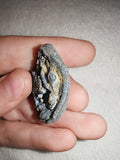 11g Natural Druzy Chalcedony Agate Slice Botryoidal Eye Crystal Specimen