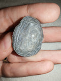 11g Natural Druzy Chalcedony Agate Slice Botryoidal Eye Crystal Specimen