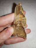 47g Natural Libyan Desert Glass Tektite Specimen Rough Yellow Impactite Crystal