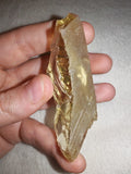 47g Natural Libyan Desert Glass Tektite Specimen Rough Yellow Impactite Crystal