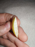 7g Lemon Calcite Crescent Slice Natural Yellow Calcite Banded Crystal Pocket Stone