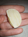7g Lemon Calcite Crescent Slice Natural Yellow Calcite Banded Crystal Pocket Stone