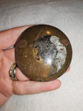 72g Polished Goniatite Fossil Disc Round Moroccan Ammonite Fossil Paperweight