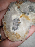 18g Polished Moss Agate Stalactite Slice Quartz Crystal Edge Mineral Specimen